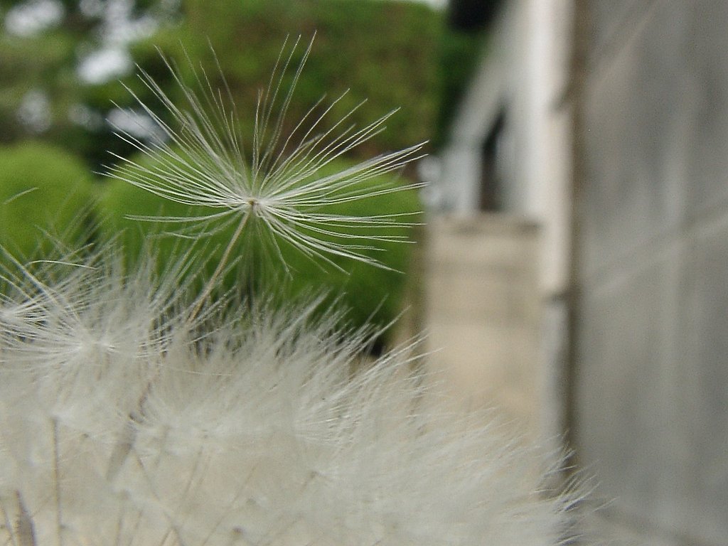 離陸