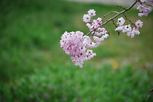 初練習です