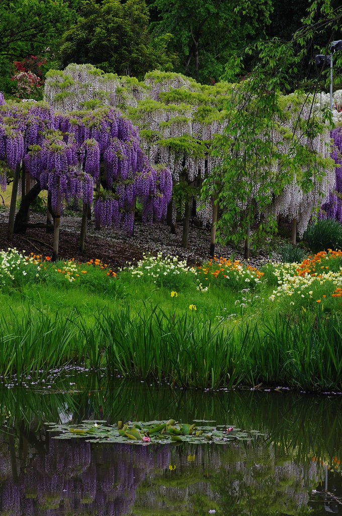 花の楽園
