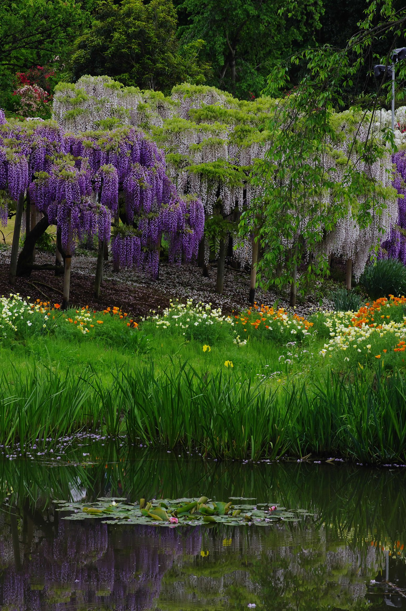 花の楽園