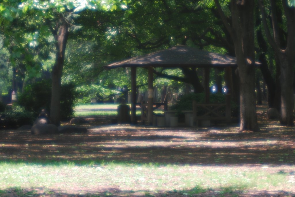 午後の公園