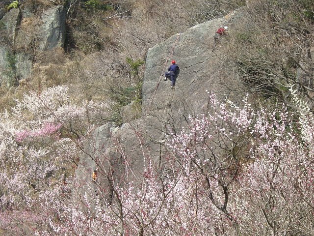 ロッククライマー