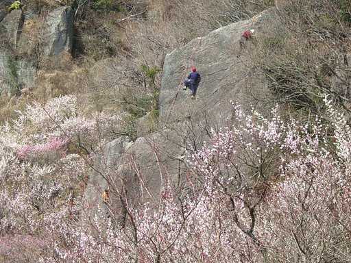 ロッククライマー