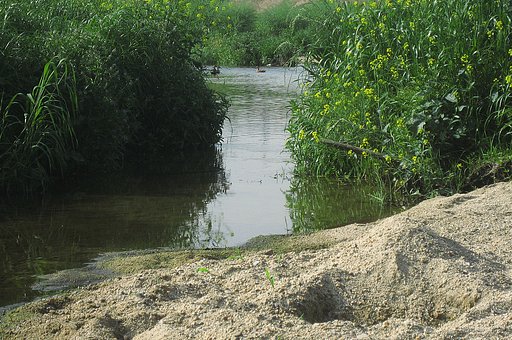 【植】緑の川面と砂遊び