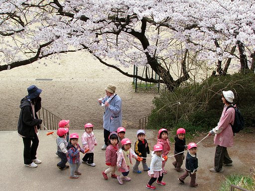 桜の頃