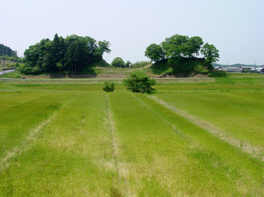 麦畑のある風景