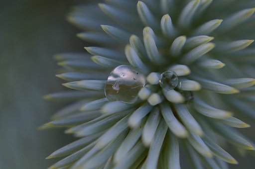 Two drops of water