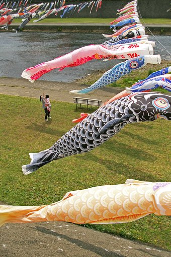 風そよぐ五月