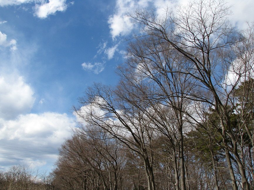〔街〕中の公園