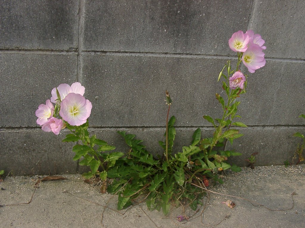 何もこんな場所で・・