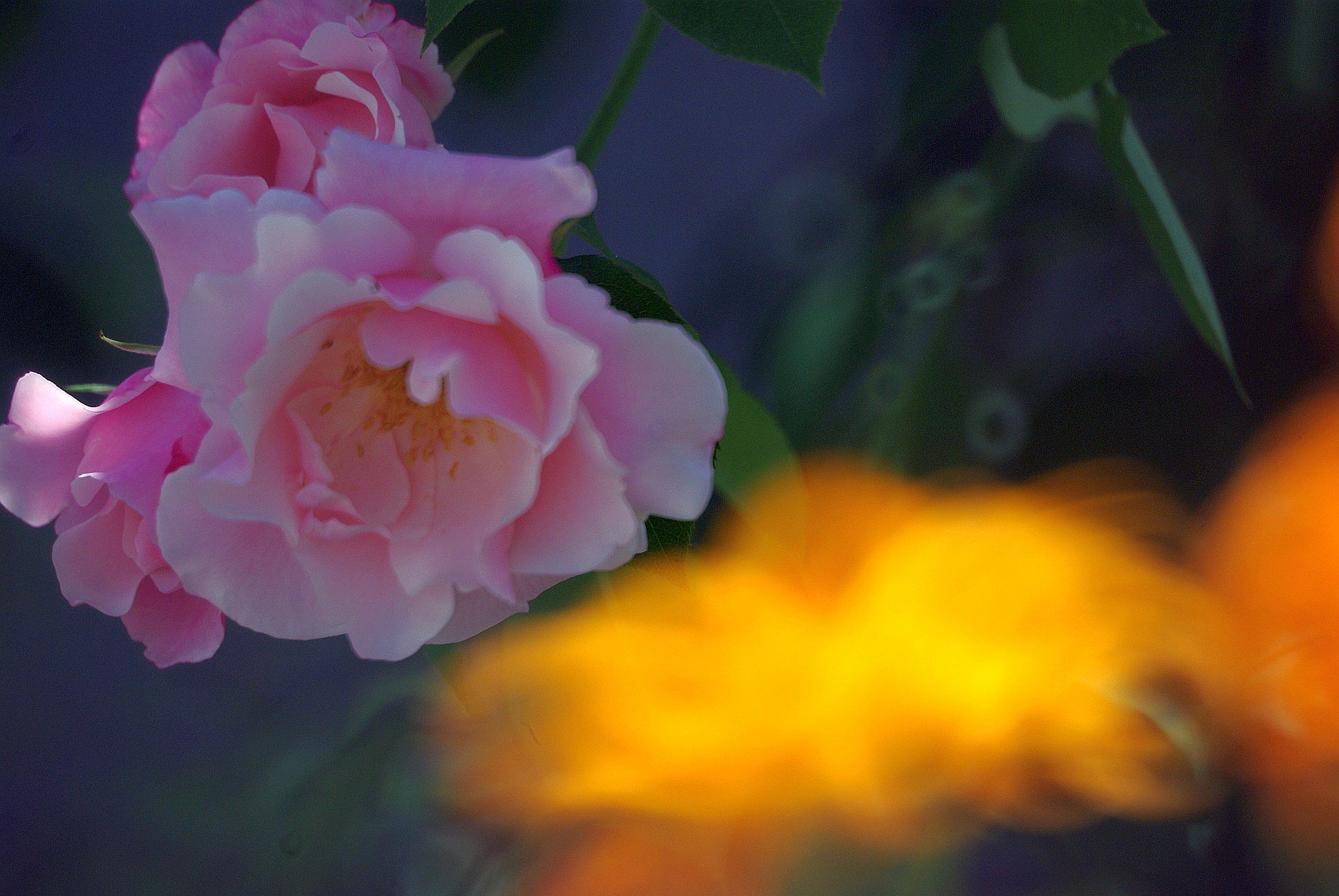 Zenit AOMZ MC3M-7K 300mm F5.6