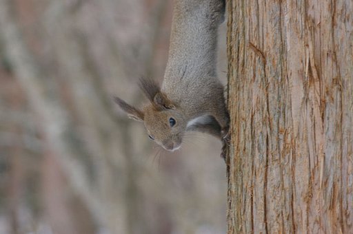私に何かご用？