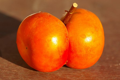 オレンジ色に恋して