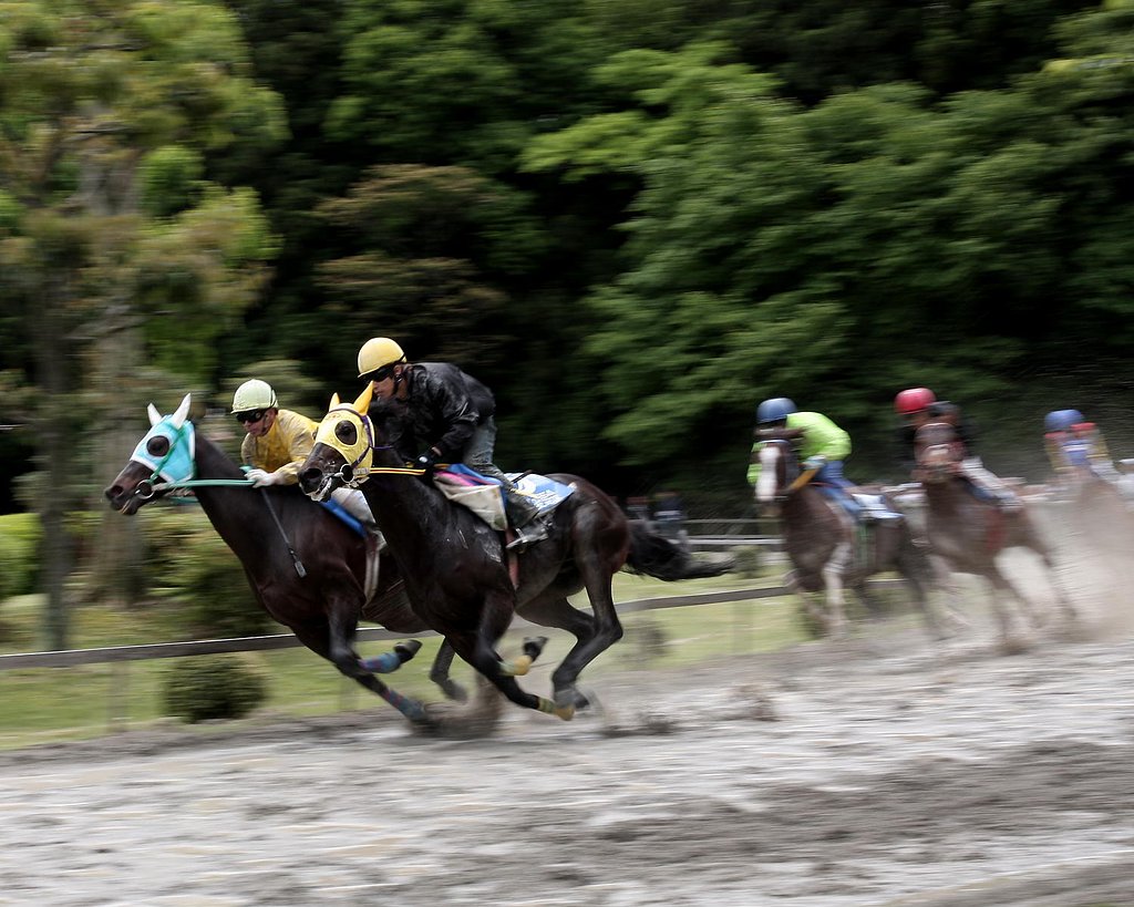 草競馬　３