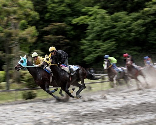 草競馬　３