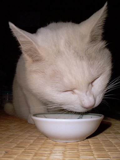 至福のひととき