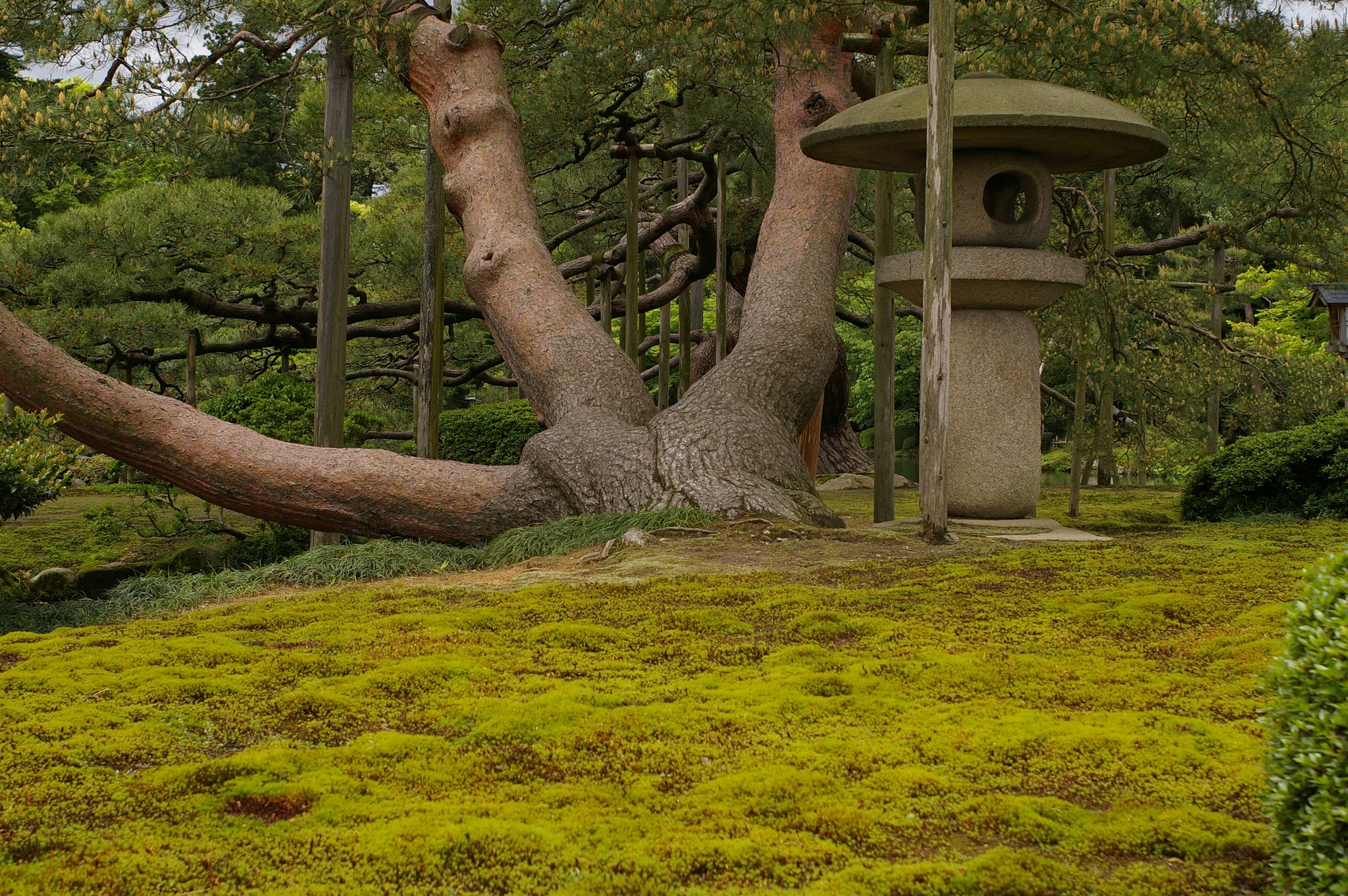 兼六園で試し撮り（その４）