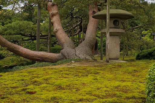 兼六園で試し撮り（その４）