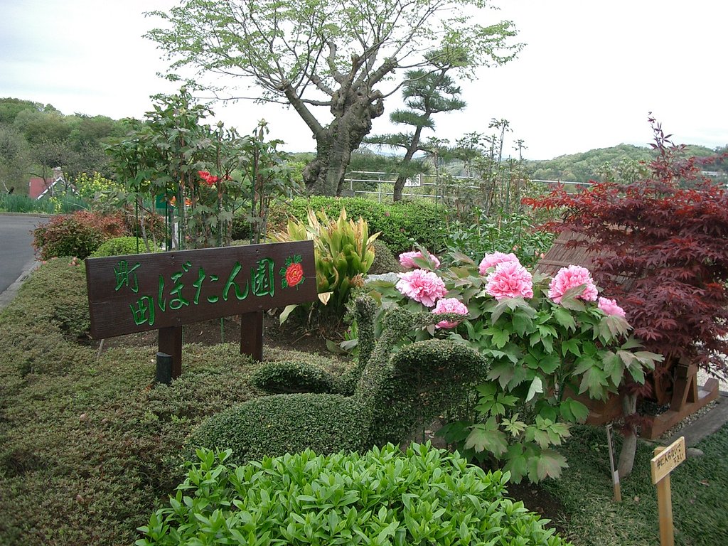 〜町田牡丹園〜