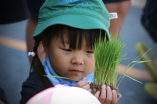 「植」苗はだいじにしましょうねー