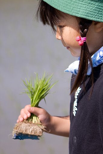「植」では、さっそく田んぼにいってみましょう