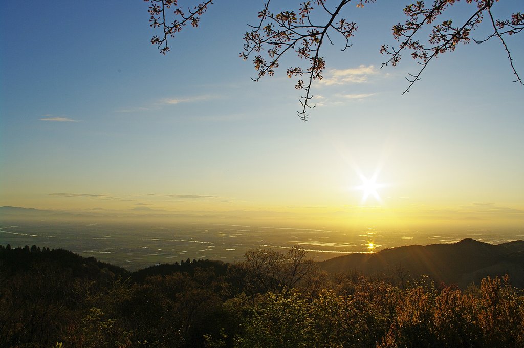 素敵な朝