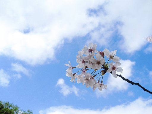 空と