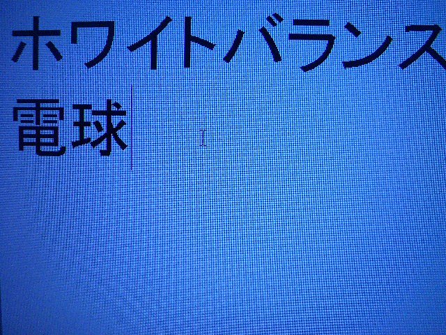 ホワイトバランス 電球