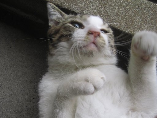 GWの野良あそび