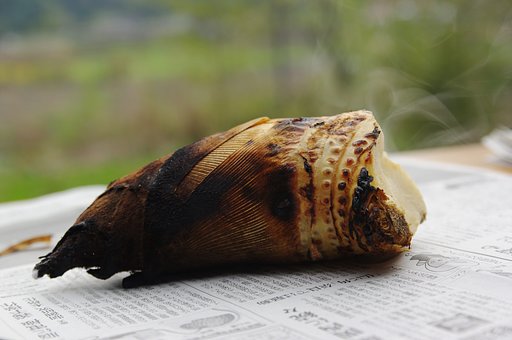 焼きタケノコ