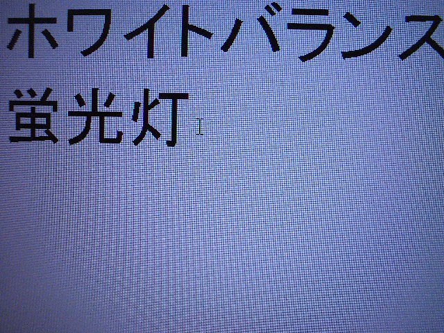 ホワイトバランス 蛍光灯