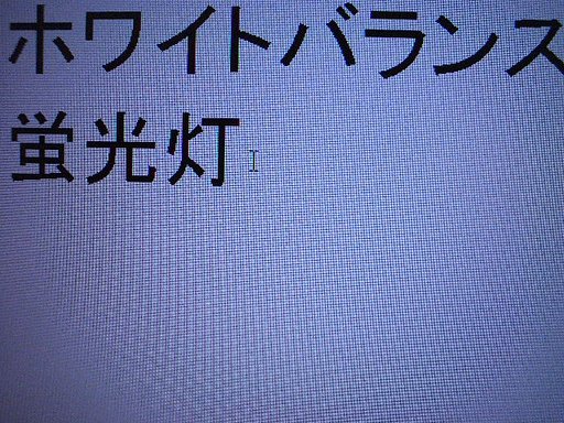 ホワイトバランス 蛍光灯
