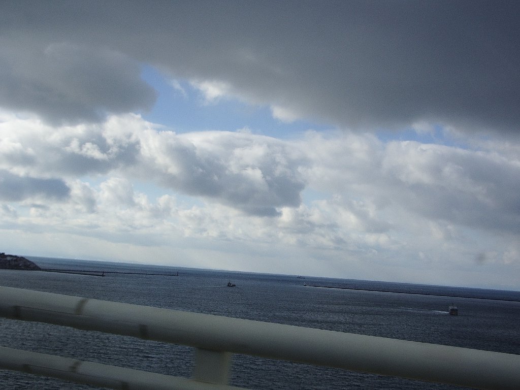海