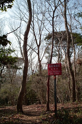 【赤】鳥獣保護区