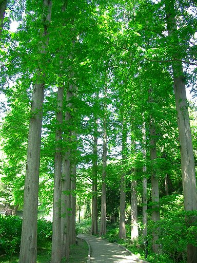 〜文学の小路-02〜