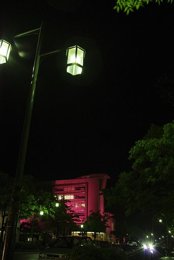 ピンクリボンフェスタ2008