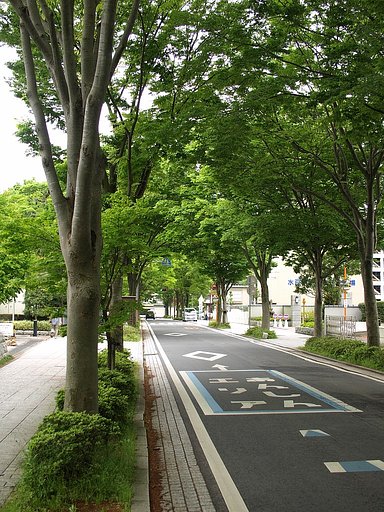 新緑の季節