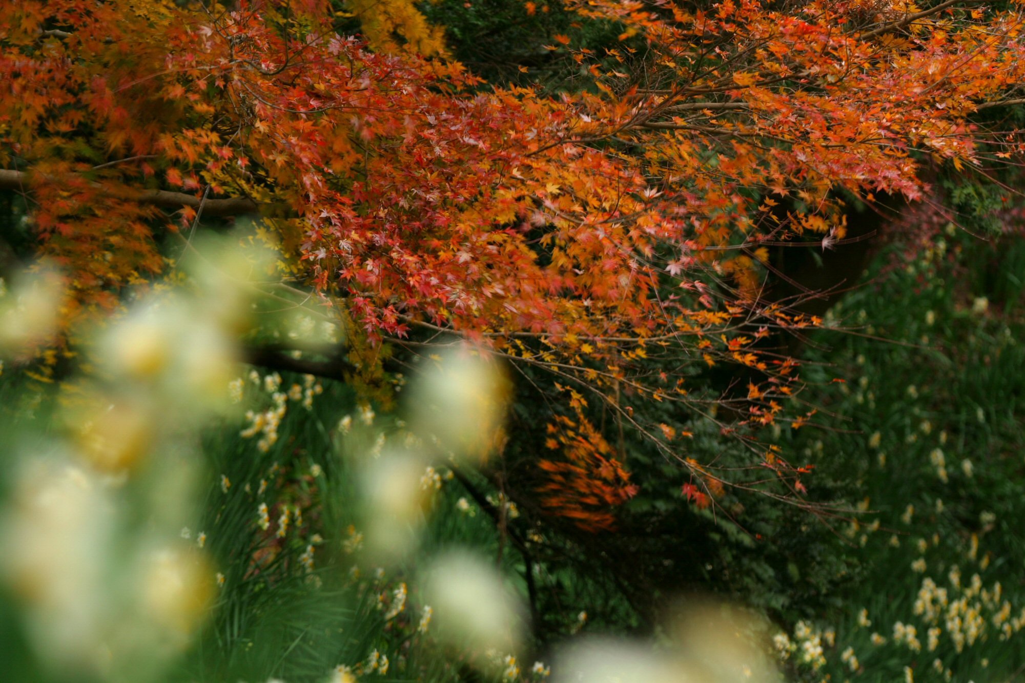 季節は乱れて