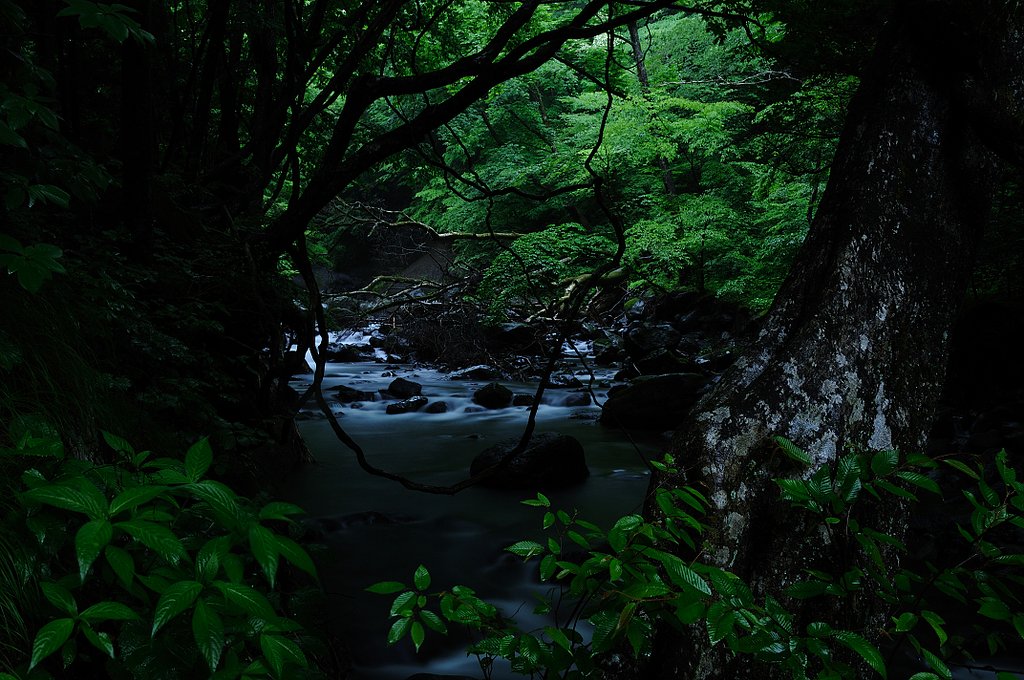 沢