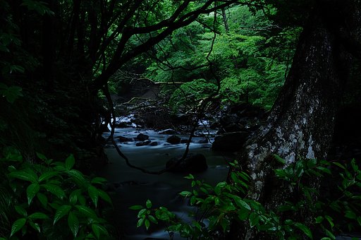 沢