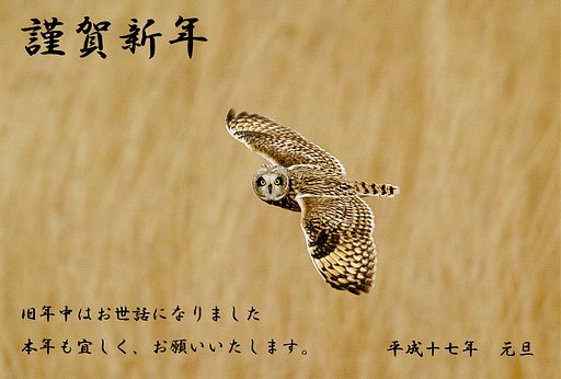 謹賀新年