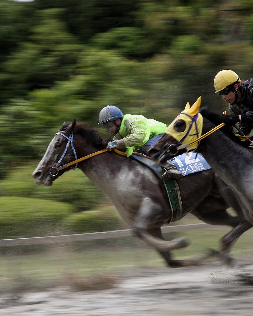 草競馬