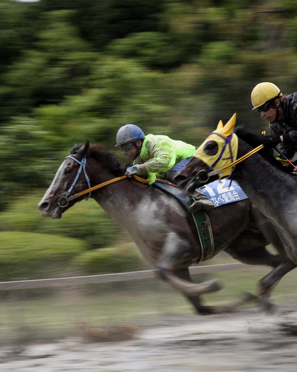 草競馬