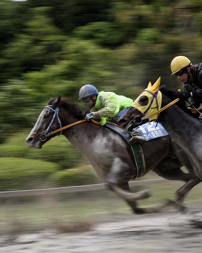 草競馬