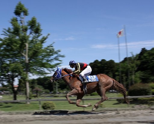 【植】　草競馬　２