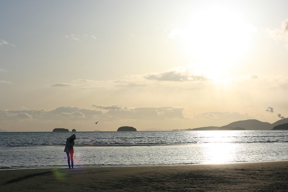冬の海