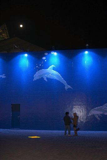 八景島シーパラダイス（２）