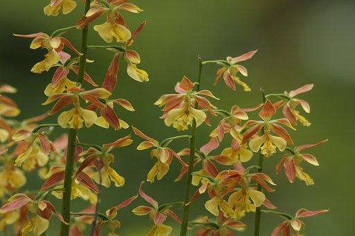 5月12日の写真