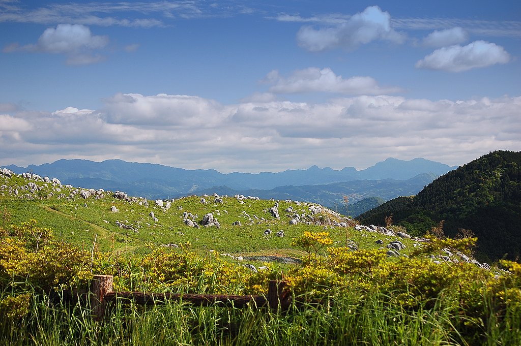 平尾台