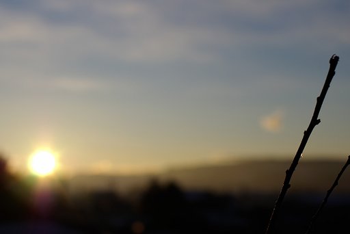 初日の出